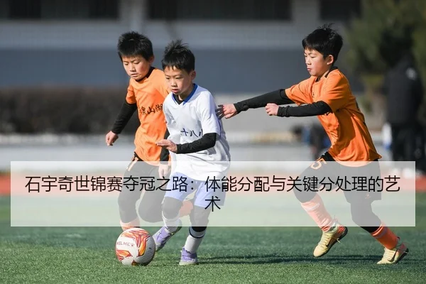 shi-yu-qi-shi-jin-sai-duo-guan-zhi-lu-ti-neng-fen-pei-yu-guan-jian-fen-chu-li-de-yi-shu-2-700.jpg