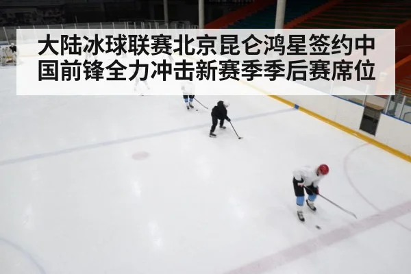ice hockey rink
