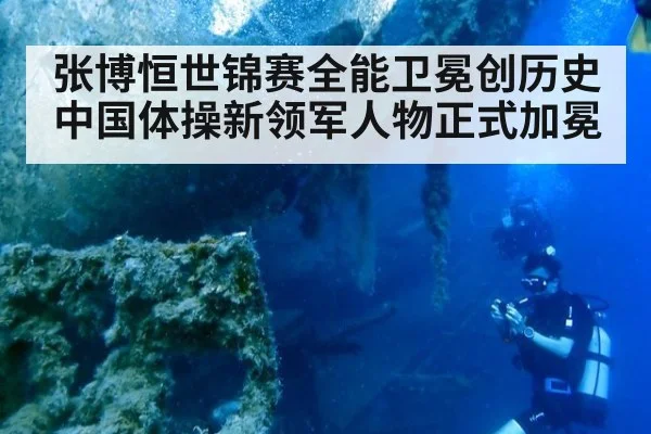 张博恒世锦赛全能卫冕创历史 中国体操新领军人物正式加冕